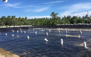 HDPE Geomembrane Pond Liner for Aquaculture Project in Indonesia