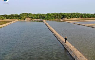 Pond Lining Sheets for Aquaculture Ponds Lining System in Philippines