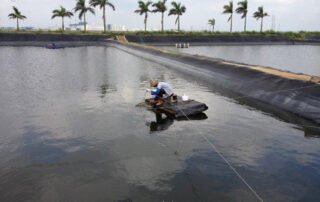 HDPE Pond Membrane Liner for Shrimp Pond in Colombia