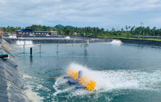 High Density Polyethylene Pond Liner for Fish Pond in Malaysia