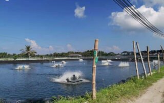 HDPE Pond Liner fabric for Fish farm Pond in Australia