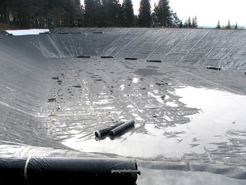 HDPE vs EPDM Pond Liner, Which One Is Better for Shrimp Ponds