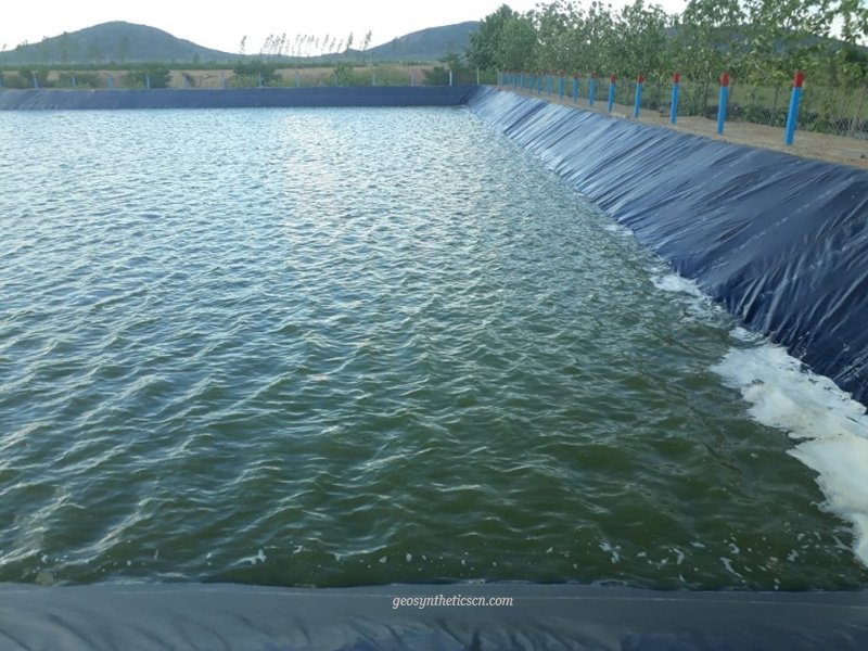 HDPE vs LDPE Pond Liner
