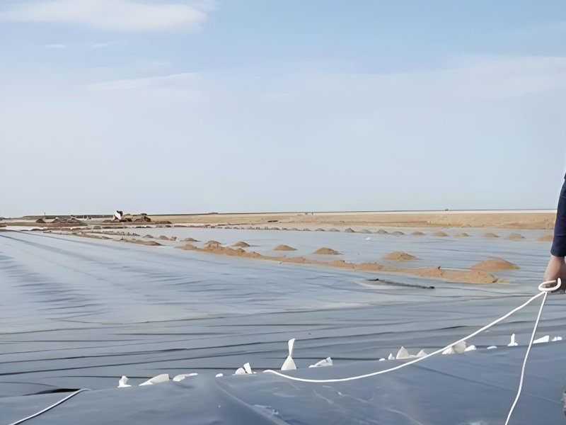 HDPE Geomembrane price for waste containment pond