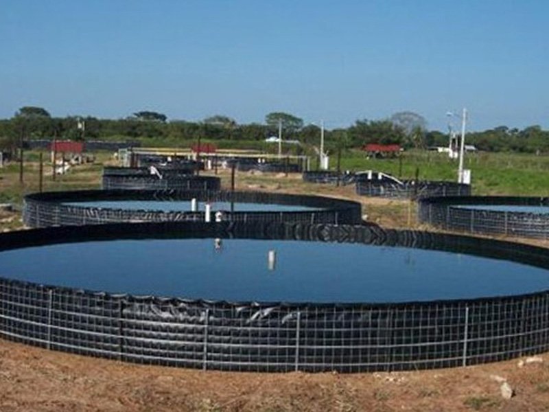 HDPE Geomembrane Liner for fish tank project