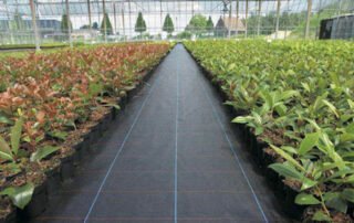 Plastic Fabric Black PP Woven for Gardening Ground