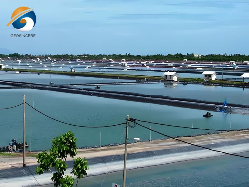 20 mil HDPEGeomembrane for Shrimp Farm
