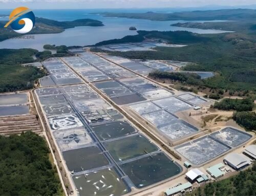 How to Choose the Right Geomembrane for Shrimp Farm?