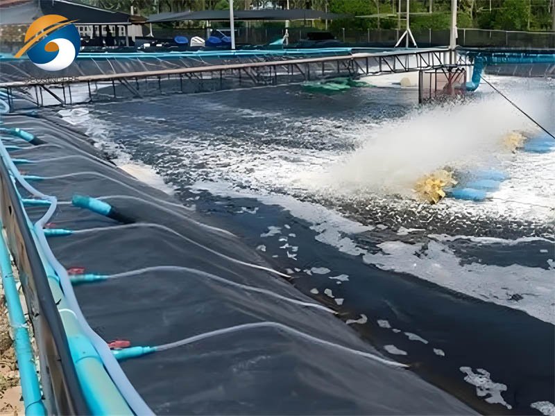Pond Liner 500 micron Geomembrane for Shrimp Farm