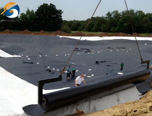 How to Choose the Right A Lake Liner?