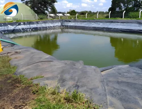 What Is Waterproof Geomembrane And What Does It Do?